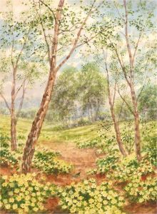 W. Halesomen - Mid 20th Century Watercolour, Primrose Meadow
