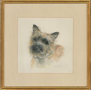 1986 Watercolour - Cairn Terrier