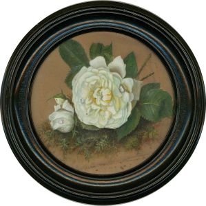 Late 19th Century Watercolour - Roses And Moss