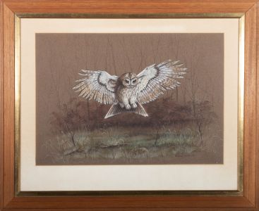 Audrey North  - 1977 Watercolour, The Barn Owl's Catch