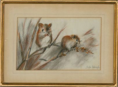 Phyllis Ackroyd - 20th Century Pastel, Harvest Mouse