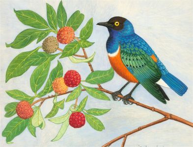 A. Twinning - 1967 Gouache, Strawberry Tree & Starling