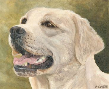 A. Souter - 20th Century Oil, Portrait of a Yellow Labrador