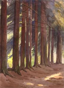 Mid 20th Century Watercolour - Row of Forest Trees