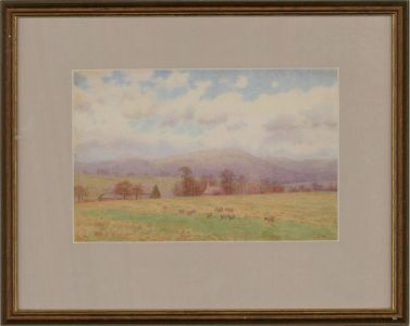 J. B. W - Early 20th Century Watercolour, Sheep In Hazy Pastures