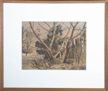 Joyce Perry - 20th Century Watercolour, Woodland Study