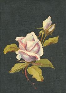 Early 20th Century Oil - Floral Study