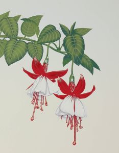 Alex Mackay  - 1983 Silkscreen, Fuchsias