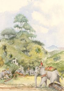 S M Caig - 20th Century Watercolour, Indian Elephants in the Rainforest