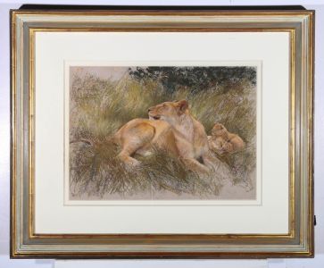 Neil Forster (1939-2016) - 20th Century Pastel, Lioness with Cubs