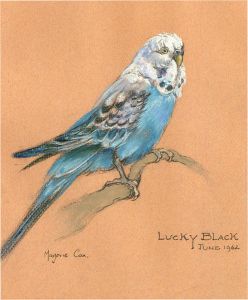 Marjorie Cox (1915-2003) - 1962 Pastel, Lucky Black