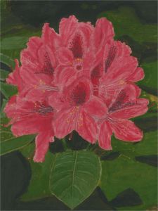 20th Century Oil - Pink Flowers & Green Leaves