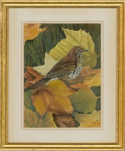 Timothy Greenwood - 20th Century Watercolour, A Sparrow
