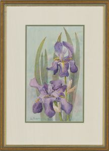 Ann Morgan - Contemporary Watercolour, Iris Flowers
