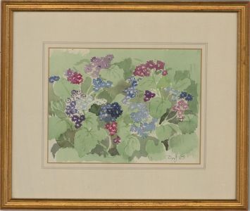 1985 Watercolour - Primula