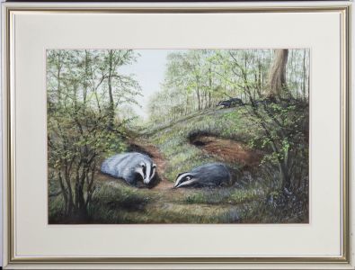 Alan England - 20th Century Watercolour, Badgers and Bluebells