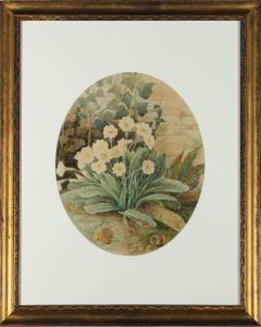 Early 20th Century Watercolour - Garden Study