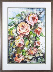 D. Thackeray - 20th Century Watercolour, Study of Pink Roses