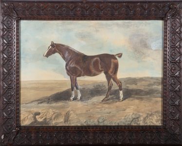 Robert William Folkard (1811-1835) - 1831 Watercolour, Bay Horse