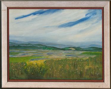 Vernon Veale-Knysna  - 1997 Oil, Wetland