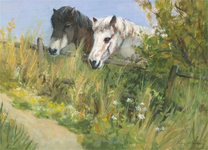 John Stephen - Signed Mid 20th Century Acrylic, Ponies by the Fence
