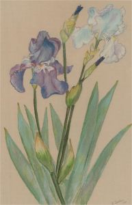 B. Bolton - Signed and Dated 1986 Pastel, Floral Study