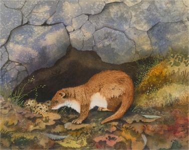 Brian Needham - Signed Mid 20th Century Watercolour, Wandering in the Wildlife