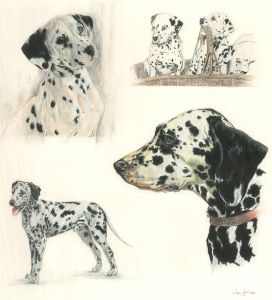 Les Cley - Signed and dated 1996 Graphite Drawing, Study of Dalmatians