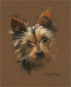 Virginia Pope - Signed Mid 20th Century Oil, The Little Yorkshire Terrier