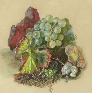 Selma Gaspary - 1876 Watercolour, Autumnal Still Life
