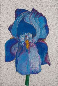 Terry Buchanan (b.1938) - 2003 Pen and Ink Drawing, Blue Iris
