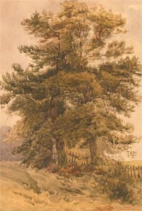 Early 20th Century Watercolour - The Old Tree