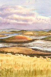 M. Swindlehurst - 2002 Watercolour, Strangford Lough