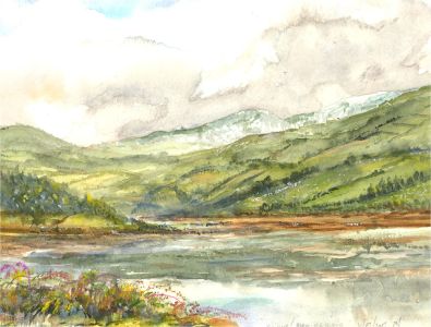 M. Swindlehurst - 2007 Watercolour, Conwy Bird Reserve