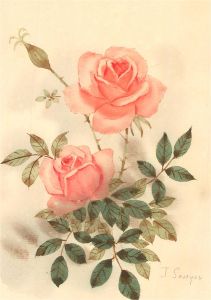 Signed Early 20th Century Watercolour - Study of Roses