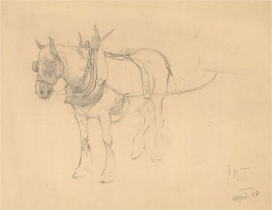 John Murray Thompson (1885-1974) - Graphite Drawing, Study of a Horse