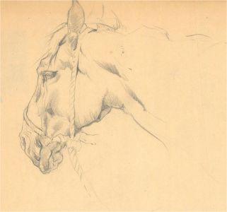 John Murray Thompson (1885-1974) - Graphite Drawing, Horses Head