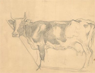 John Murray Thompson (1885-1974) - Graphite Drawing, Study of a Cow