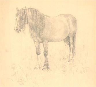 John Murray Thompson (1885-1974) - Graphite Drawing, Standing Horse