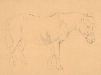 John Murray Thompson (1885-1974) - Graphite Drawing, Animal Studies