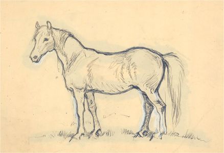 John Murray Thompson (1885-1974) - Graphite Drawing, Various Horses