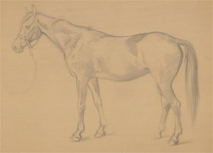 John Murray Thompson (1885-1974) - 20th Century Graphite Drawing, The Horse