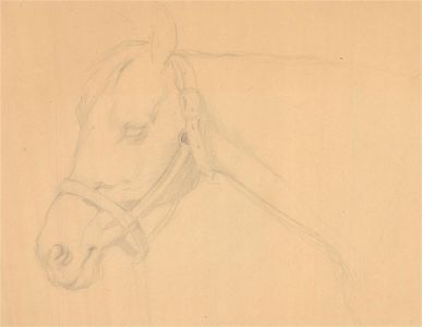 John Murray Thompson (1885-1974) - 20th Century Graphite Drawing, Horses Head