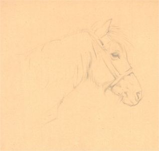 John Murray Thompson (1885-1974) - 20th Century Graphite Drawing, The Horse