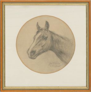 G.F Lunza - Early 20th Century Graphite Drawing, Study of a Horse