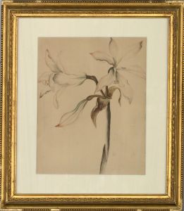 Framed Early 20th Century Watercolour - White Lily