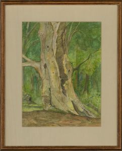 Lena Brewe - 20th Century Watercolour, The Old Beech