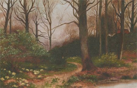 Early 20th Century Oil - Woodland in Springtime