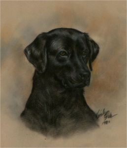 Marilyn - Signed and dated 1984 Pastel, The Good Boy