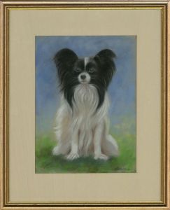 Allan Phillips - 2004 Pastel, Pekingese Pup